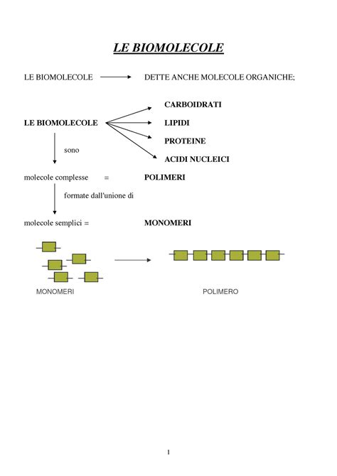 Lebiomolecole Biomolecole Le Biomolecole Le Biomolecole Dette Anche