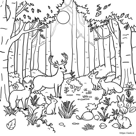 Desenhos Para Colorir De Animais Da Floresta