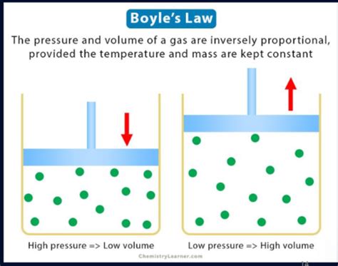 Resp Physiology Of Breathing Mechanics Pressure Relationships Lung