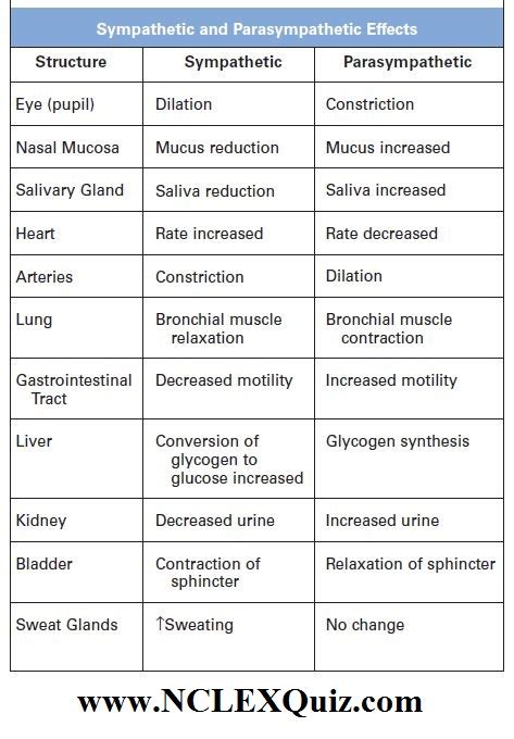 Sympathetic and Parasympathetic Effects Chart - NCLEX Quiz