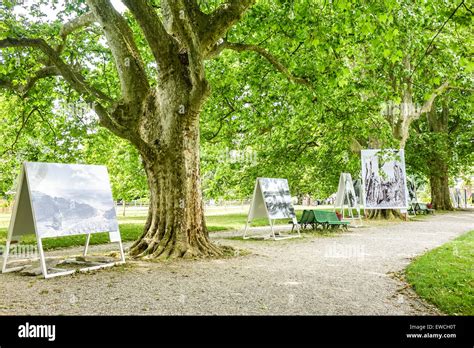 Botanical Gardens Geneva Stock Photo - Alamy