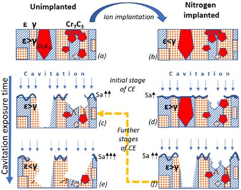 Cavitation Erosion Phenomenological Model Of Nitrogen Ion Implanted