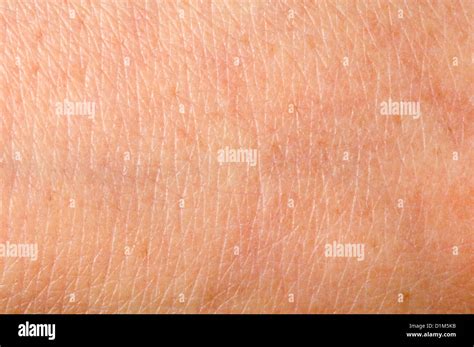 Human Skin Hi Res Stock Photography And Images Alamy