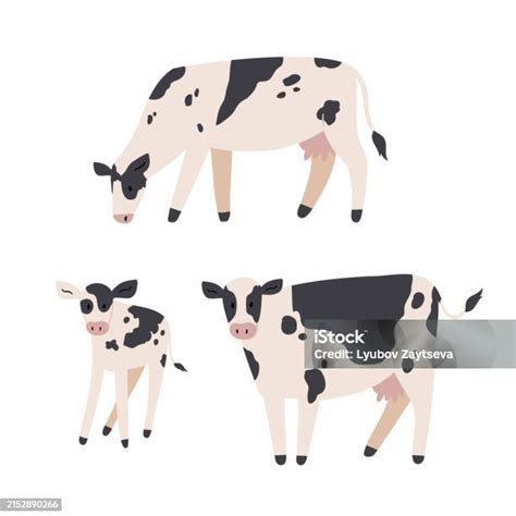 ilustrasi sapi clipart hewan domestik ilustrasi kehidupan pertanian