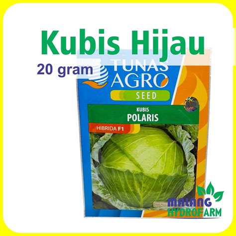 Jual Benih Kubis Hijau Polaris Hibrida F1 20 Gram Tunas Agro Dataran