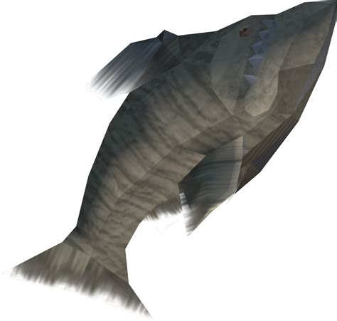 Stone fish | RuneScape Wiki | FANDOM powered by Wikia