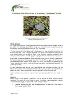 Turtles As Pets Basic Care Of Australian Freshwater Turtles