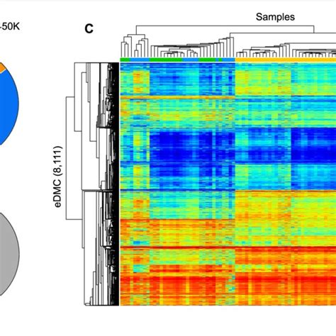 DNA Methylation Patterns Of Differentially Methylated Enhancer CpGs