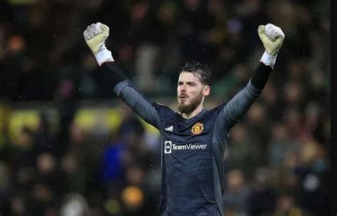 Top Goalkeepers With Most Clean Sheets In Premier League History