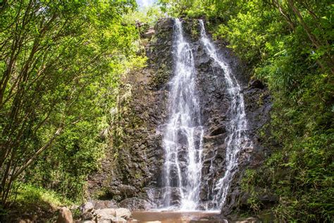 Kaau Crater Trail Kaau Aloha Secrets