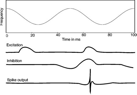 Hypothetical mechanism for producing selectivity for SFM stimuli. Top:... | Download Scientific ...