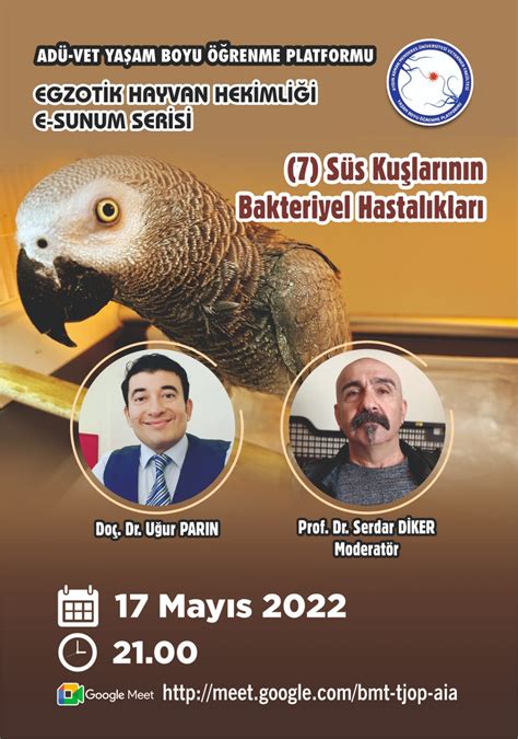 Süs Kuşlarının Bakteriyel Hastalıkları ADÜ HABER