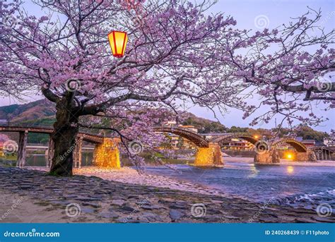 Kintaikyo Bridge In Iwakuni, Japan At Sunset Editorial Photo ...