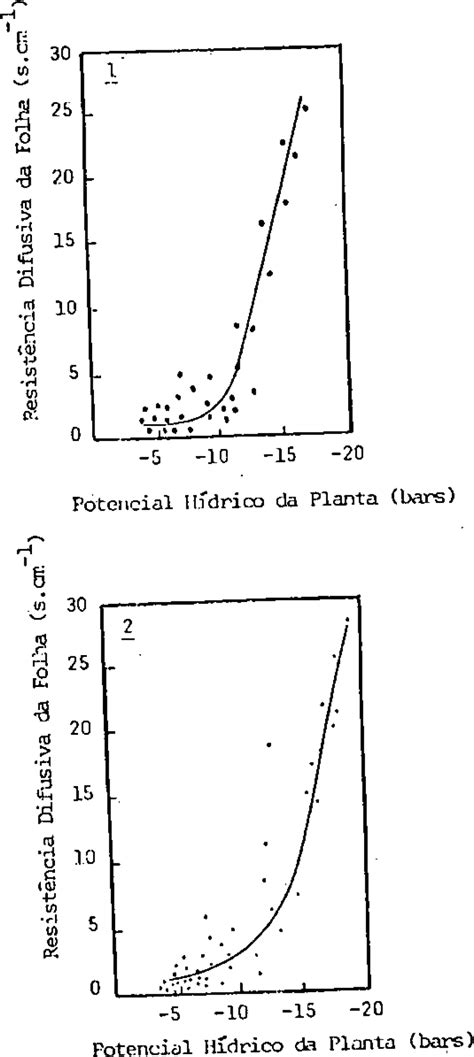 Scielo Brasil Potencial H Drico E Resist Ncia Difusiva Da Folha Em