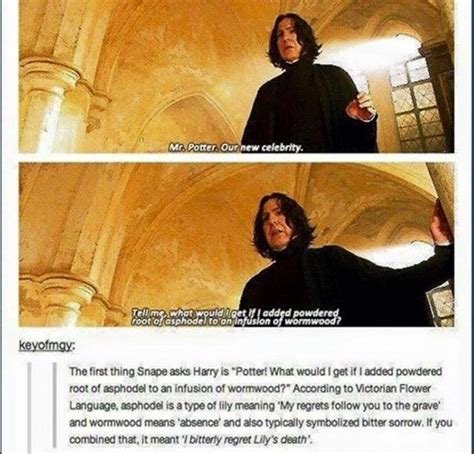 True Explanation Of Snape S First Question To Harry Harry Potter