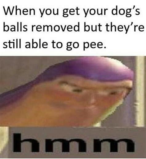 Kowalski Anal R Memes