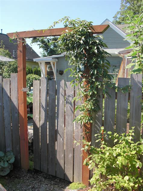 Back Fence And Blueberry Patch Myrubberboots Flickr