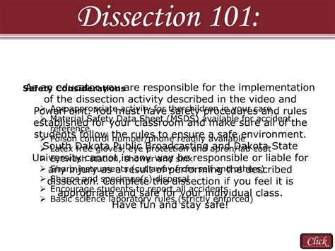 Ppt Reasons To Use The Dissection Video And Accompanying Powerpoint