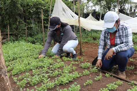 Agricultura familiar pondría fin a la desnutrición en municipios de