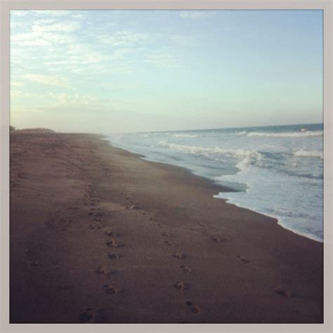 Hollywood Beach Oxnard Hollywood Beach Beach Oxnard