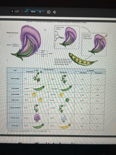 Biology Exam 3 Flashcards | Quizlet