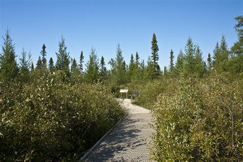 Minnesota Seasons Big Bog State Recreation Area