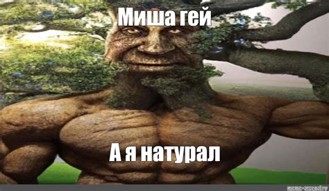 Meme Миша гей А я натурал All Templates Meme arsenal