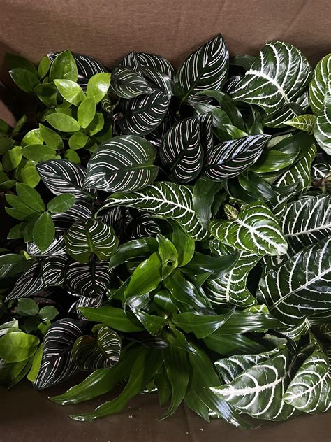 Mold Zero USA - Mold can cause harm to your health, our non-toxic