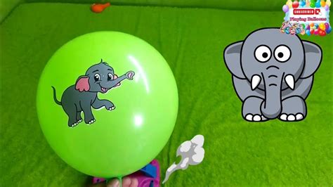 Blowing Up Balloons🎈popping Balloons🎈animals Balloon Pop🎈part 2 Youtube