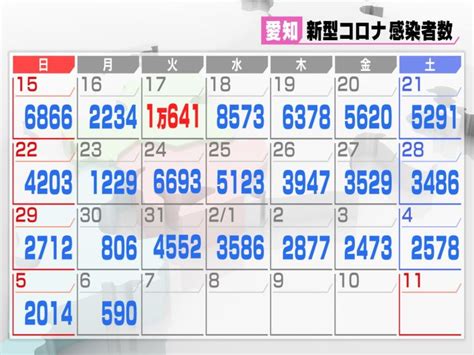 先週月曜日と比べ216人減新型コロナ 愛知で新規感染者590人 医療機関等で3つの新たなクラスター 東海テレビnews