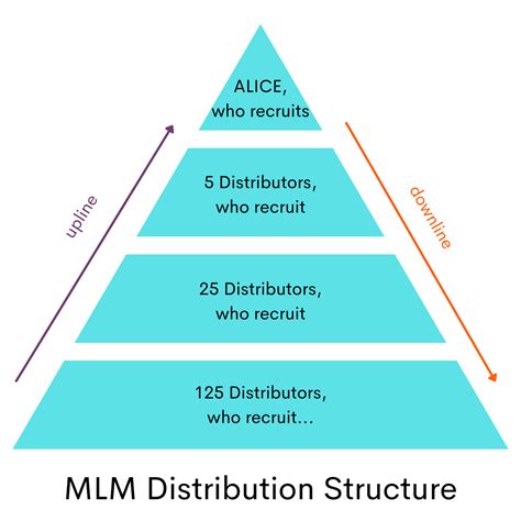 What Is Multi Level Marketing Forbes Advisor