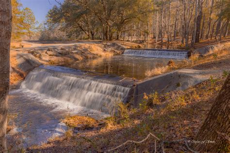 Sesquicentennial State Park Sc Sylvie S Adventures