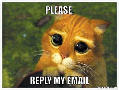 reply-my-email-meme – Jeff Lenney