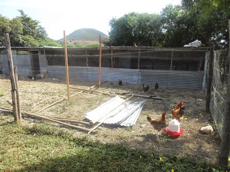 Make A Simple Poultry Structure Zion Modern House