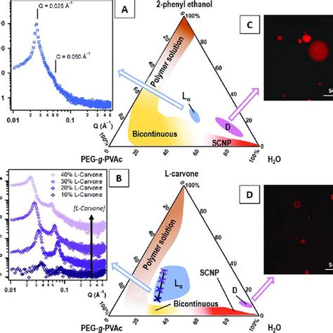 A B Saxs Patterns Obtained For A A Representative Sample From The Download Scientific