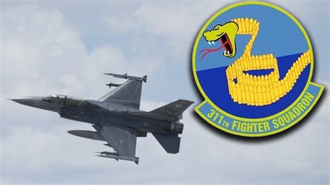 The story behind the Air Force's bizarre 311th Fighter Squadron emblem