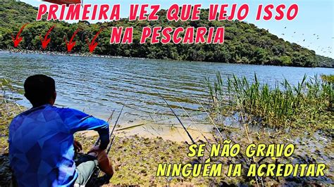 Pescaria De Tilapia Selvagem Frito Na Beira Da Lagoa Represa