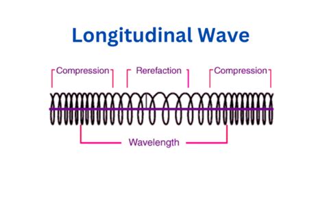 Longitudinal Waves Definition Characteristics And Examples