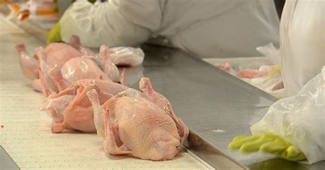 G1 Demanda por carne mais barata aquece mercado do frango notícias