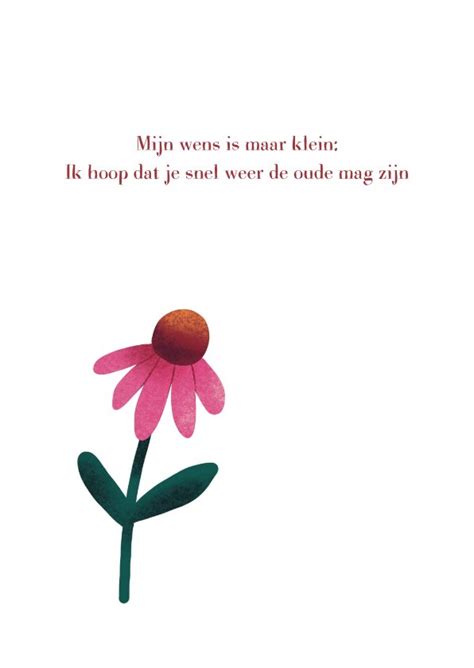 Beterschapskaart Met Bloemen In Pot Kaartje Go