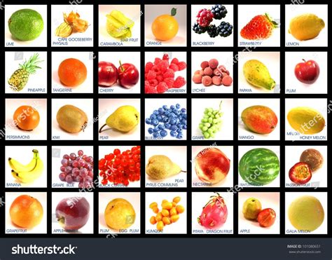 Fruit Varieties English Lettering Classified Stock Photo 101080651 ...