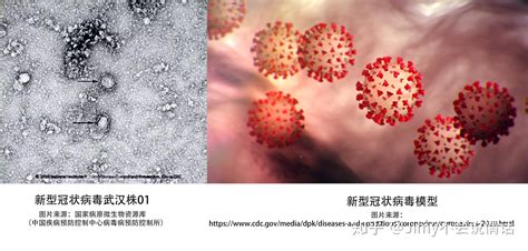 新型冠状病毒（2019 Ncov）认识和预防 知乎