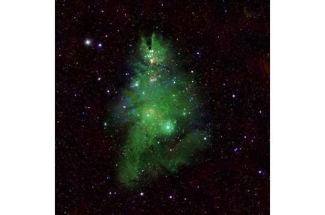 NGC 2264 Christmas Tree Cluster