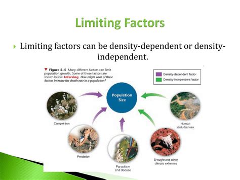 Ppt Concept 2 Population Growth Patterns Powerpoint Presentation Free Download Id 6092807