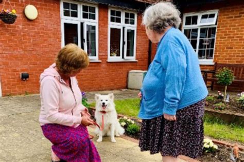 Welcome To Maple House Care Home Maple House Care Home