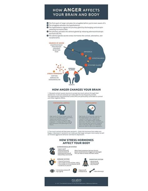 Infographic Traumatic Brain Injury Tbi Pediatric Causes And Prevention