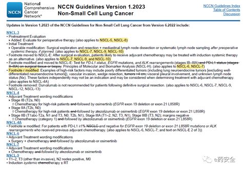 Nccn丨非小细胞肺癌指南更新要点2023 1版 非小细胞肺癌 Nccn 临床 实践 健康界