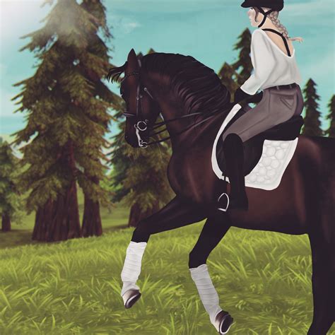 More Dressage Cuz Its Fun To Edit Star Stable Online Amino