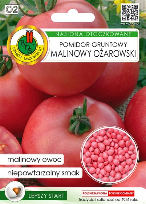 Pomidor wczesny Malinowy Ożarowski PNOS Cena Opinie Rośliny