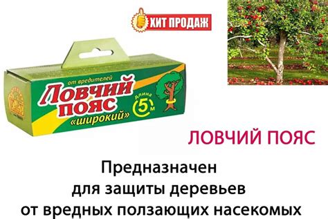 Ловчий пояс 5 м для деревьев от садовых вредителей - купить с доставкой ...